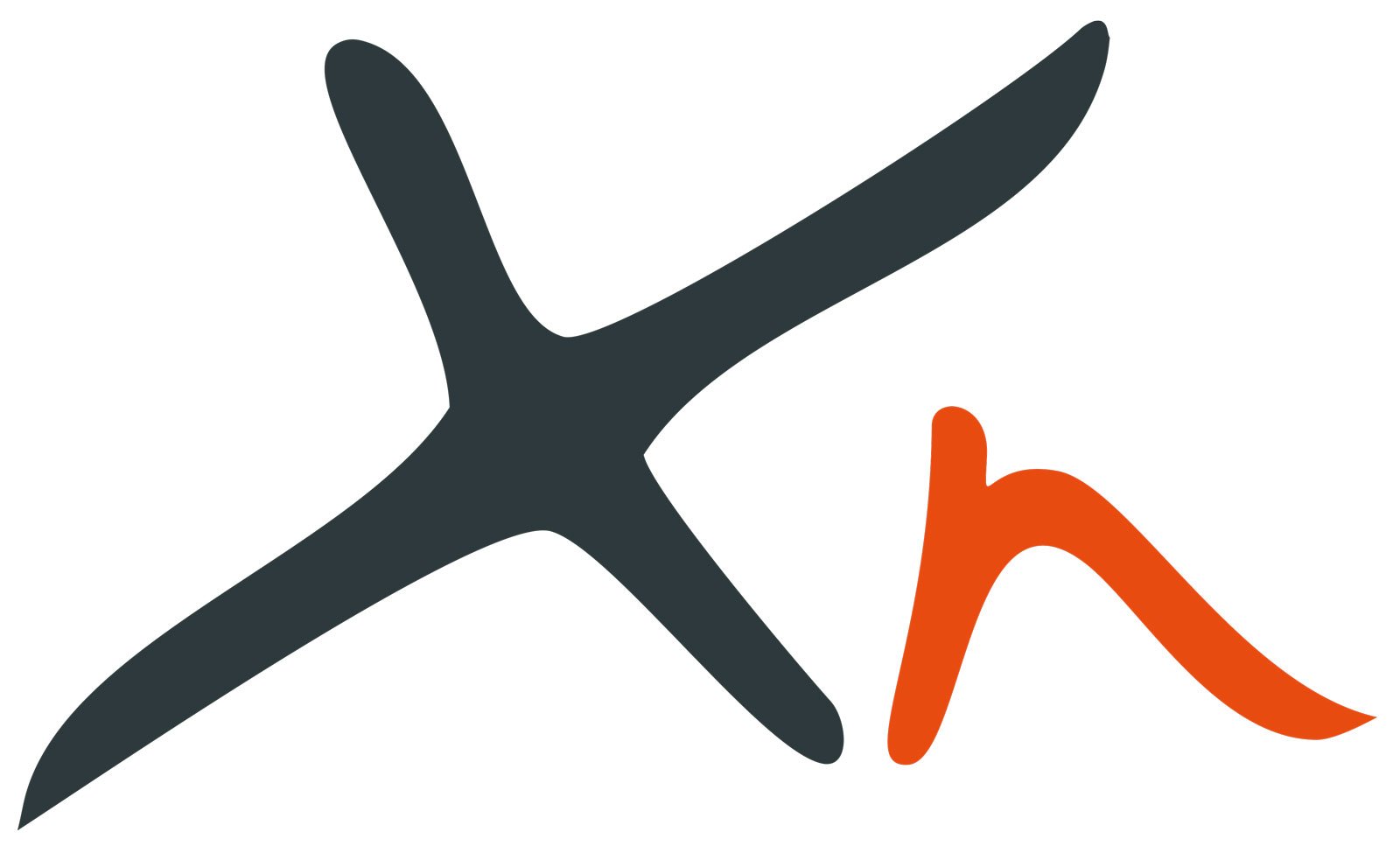 xn logo